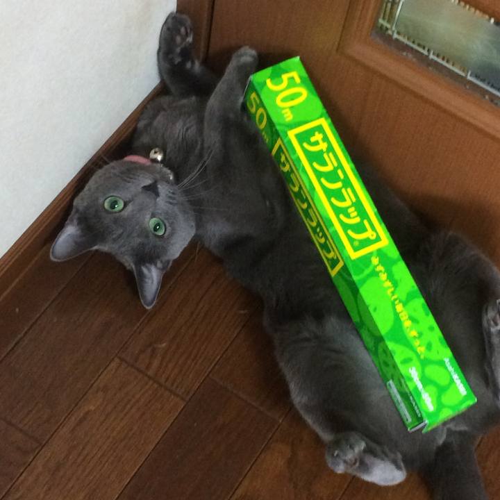 343e7854 ac1b 4daf b8b3 a3d61b5a03b0