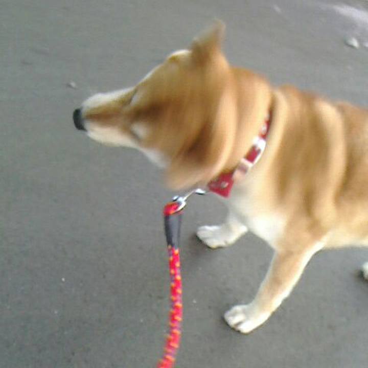 343e8a80 6ce7 4edc 95f9 028df984a150