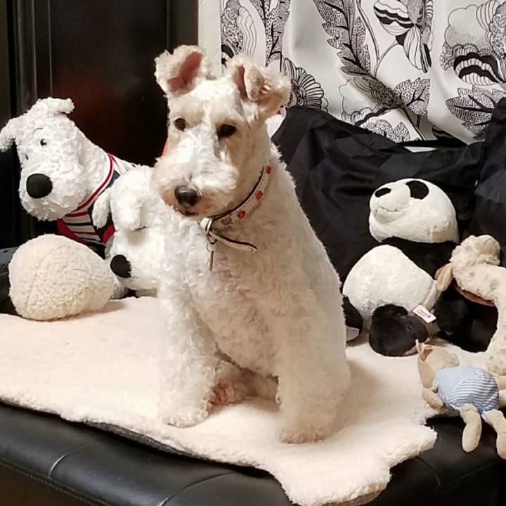 343e9aff 601c 45b0 b9c2 d2cd86fd2d54