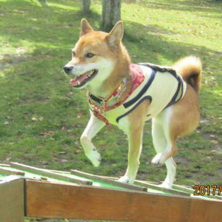 343ec03b 499e 486e bbe5 51960e65cdc4