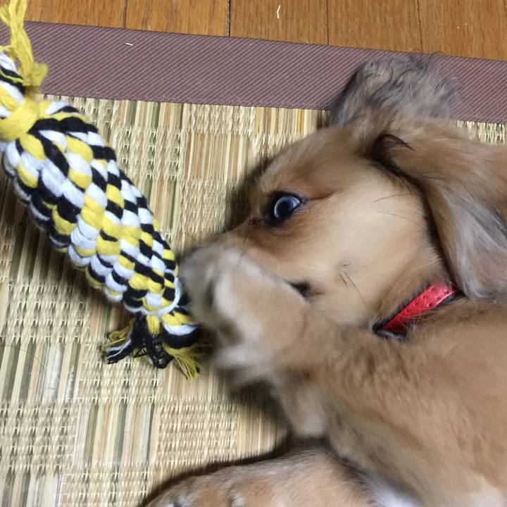 343ec82e 78b5 45db a73c f10d606a84f5