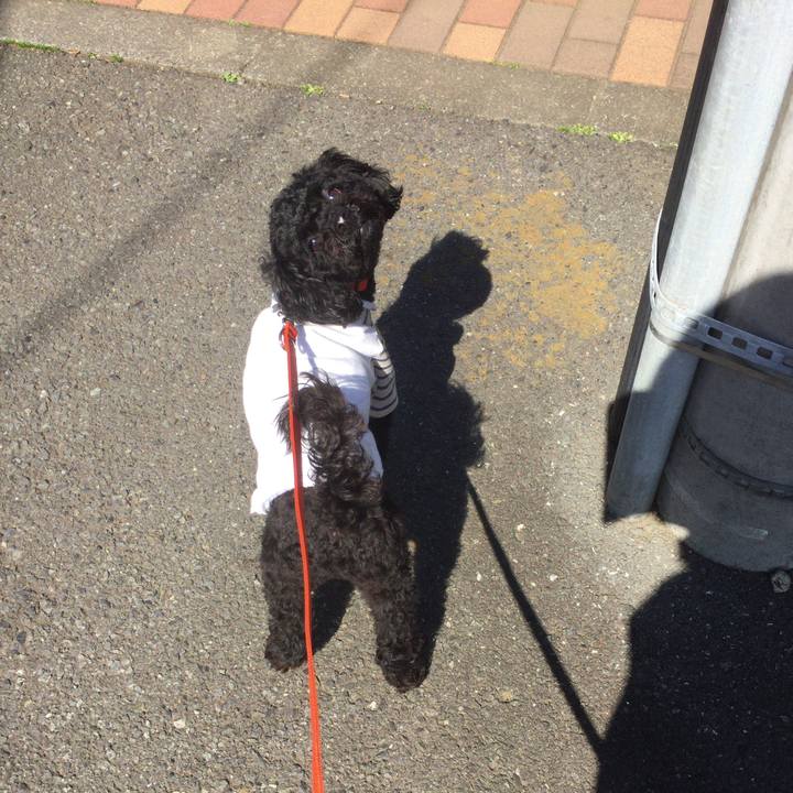 343ee664 c9b7 4c63 8fdf f8176b4632ee