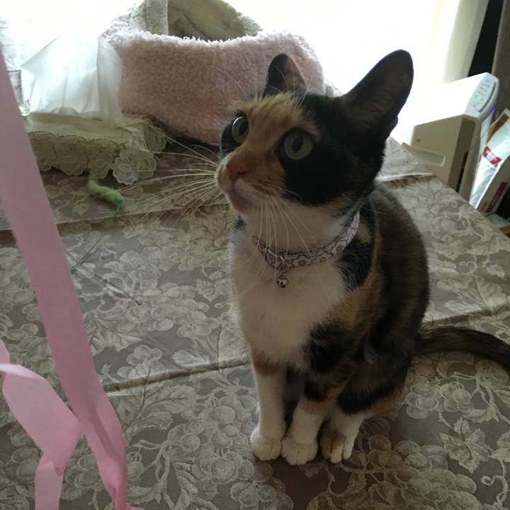 343ef3c2 775e 4b52 9489 a30c1f61acb5