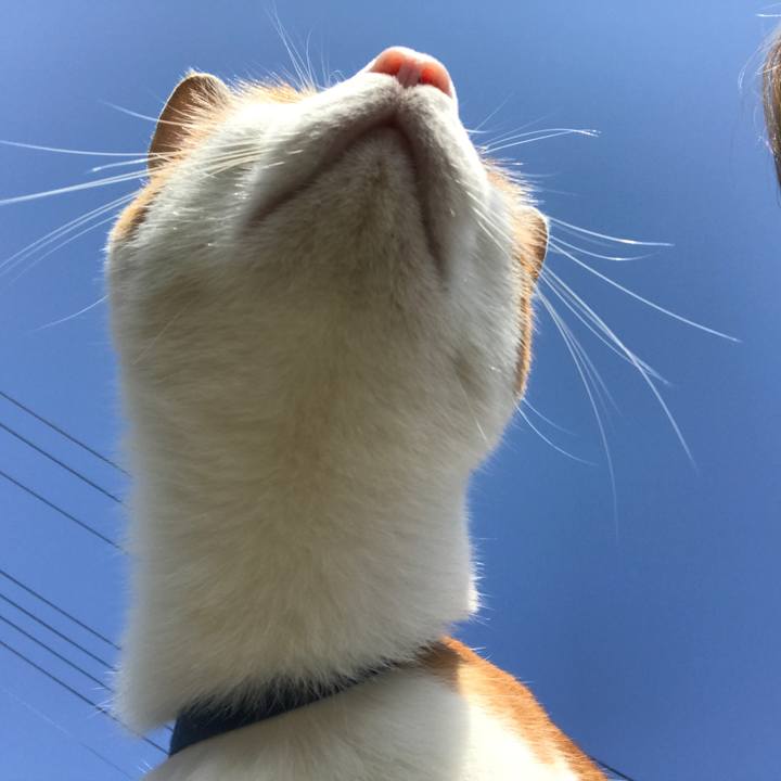 3440561b f126 4a70 80c7 7ae8394dd26b