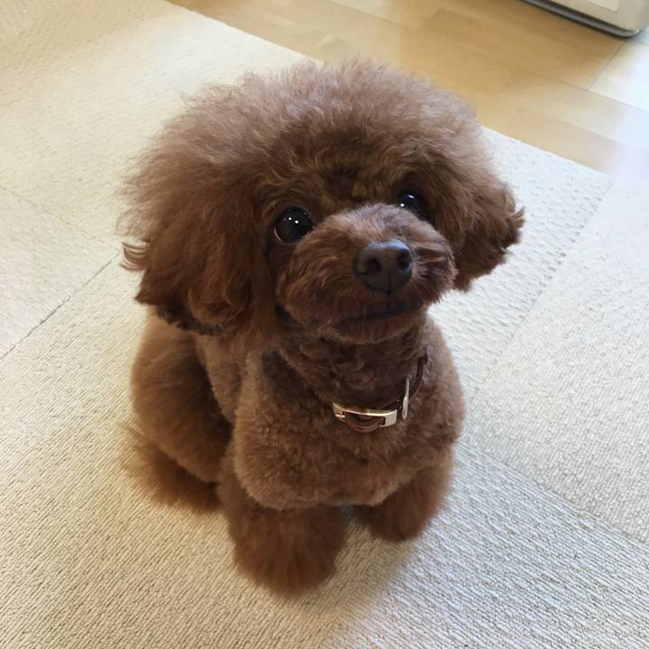 3440798a 75c7 457f 8fc4 f2e075a46ca2