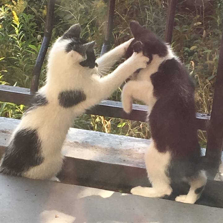 344091fb 9fec 4a8b afa6 ecd58ca91df1