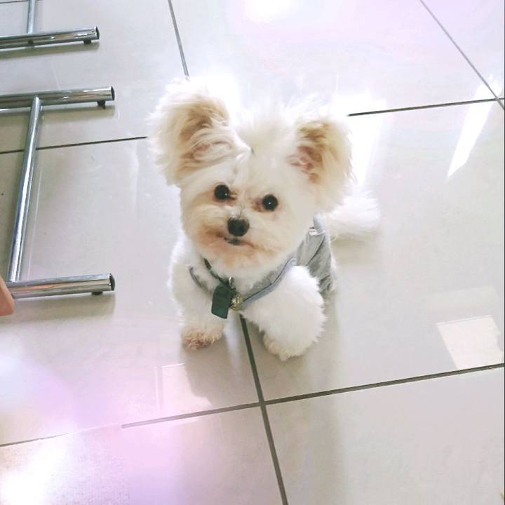 34409fcb eabe 4a66 979d b69b25e7a626