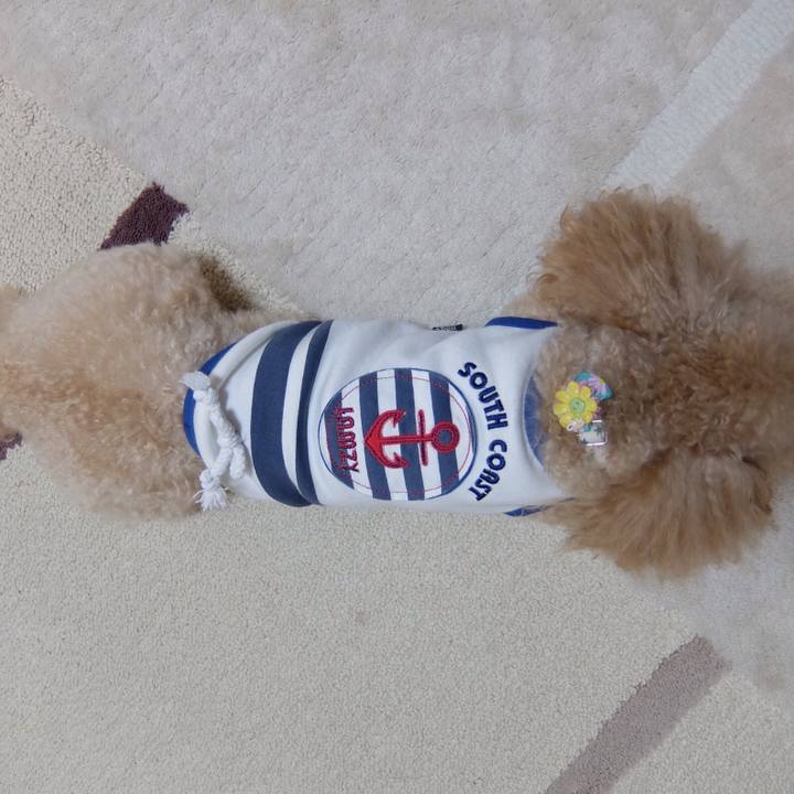 3440c937 6d85 4404 9262 b91b3f83de10