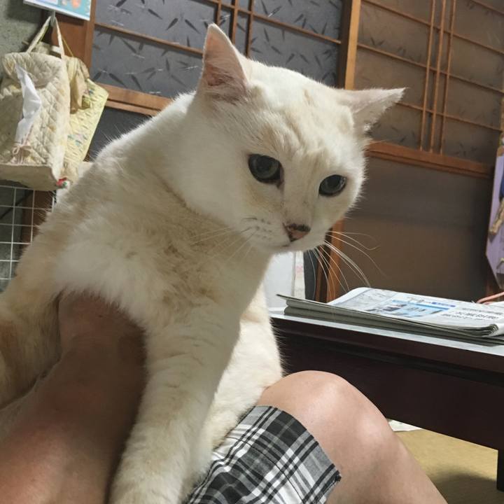 3441b7a1 26bb 4343 990d eeb0ccffb871