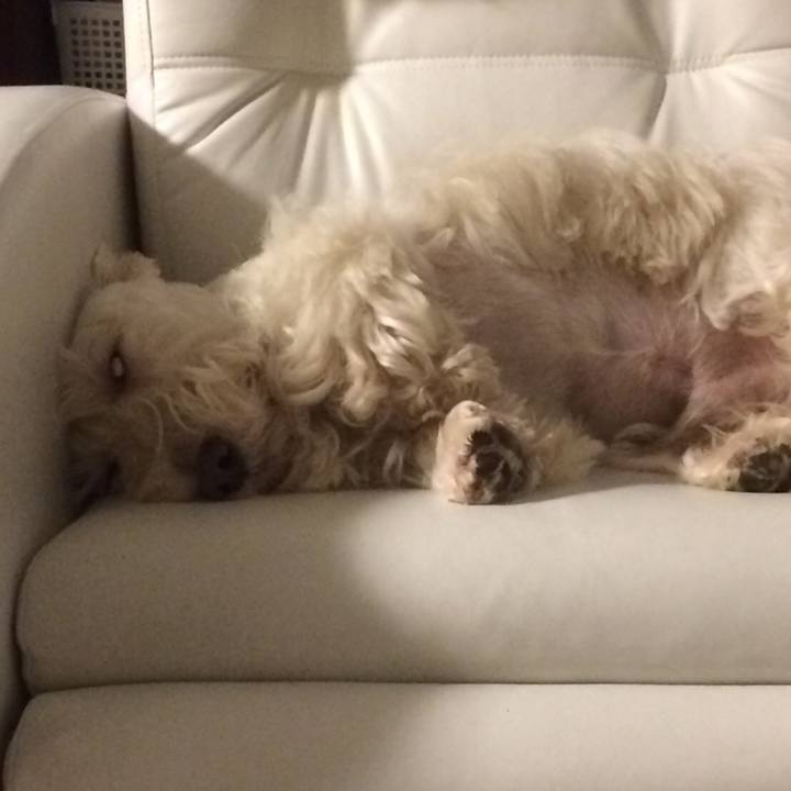 344295e6 48ee 44c5 a023 54b2ca8a6348