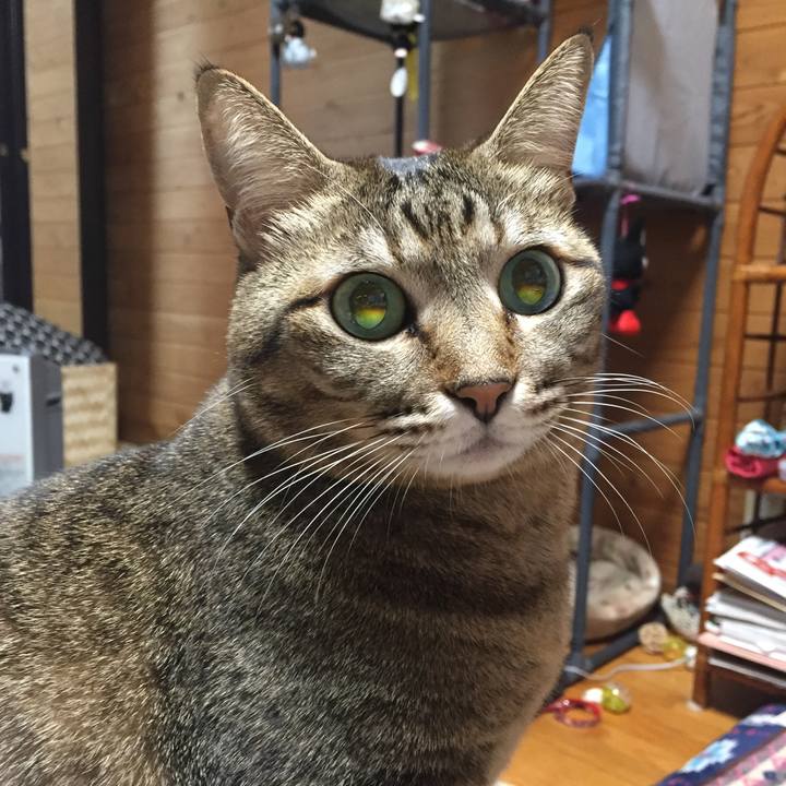 3442c734 a7d6 4609 9704 fbd65a02c806