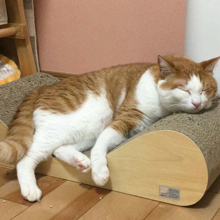 34439872 4540 47e7 8c80 df4465c64766