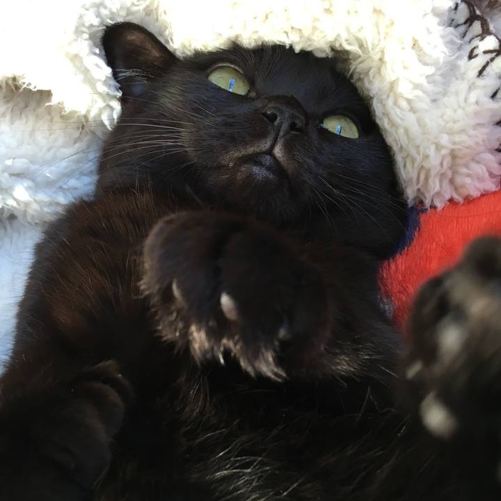 34439fc5 1d74 49fd b818 2e55318c8c83