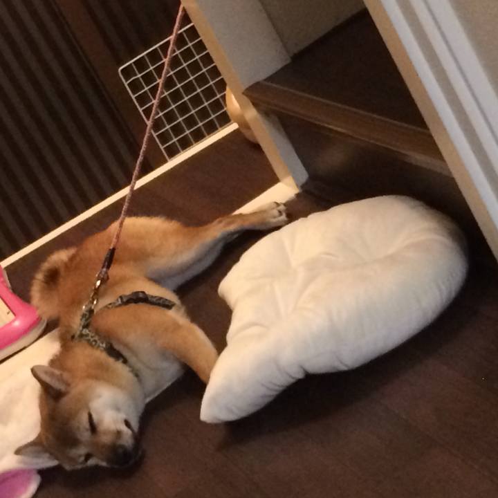 3443abda 56ae 4917 b9fc 2b2447e6fde6