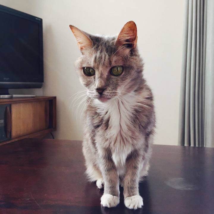 3443e07f f236 4056 920e 2be485486e2b