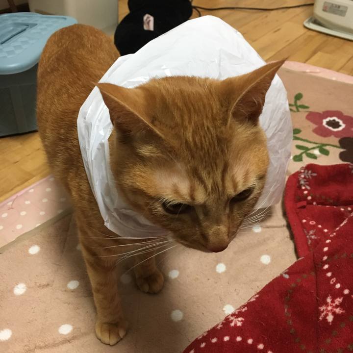 3443edc9 cce4 4679 96f4 52f5a60945b5