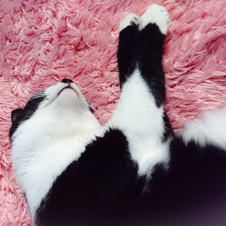 34441376 f81f 426b bcad 80cadd2768e6