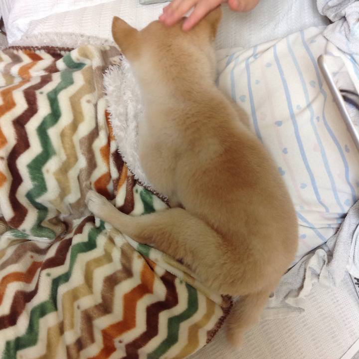 344454cf d033 4726 a2a4 d3ca782e9f7f