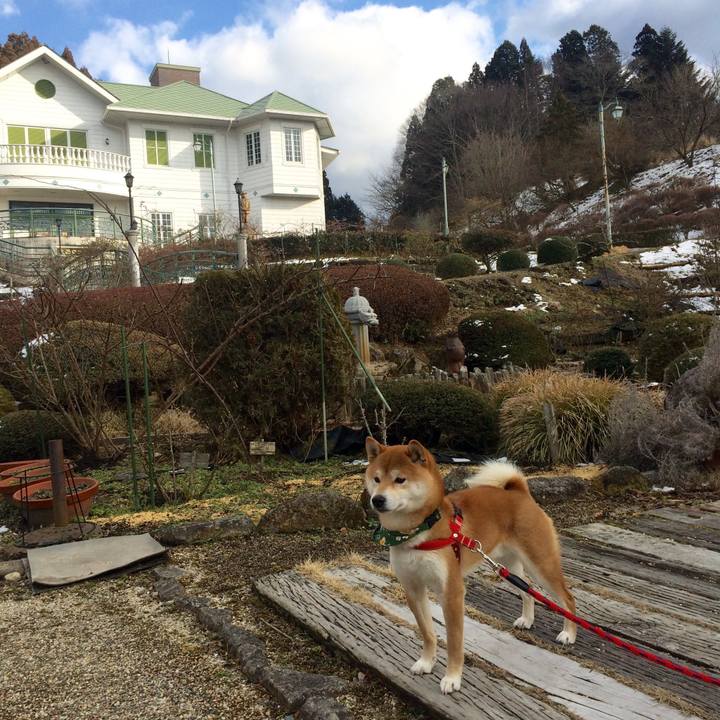 34447c55 98a0 4895 bcd9 a4d82721dd84