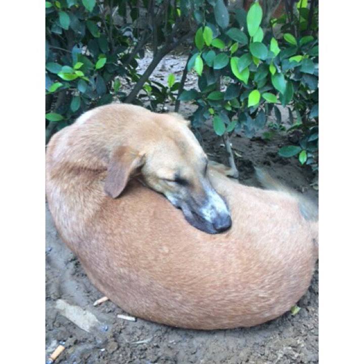 3444a766 3e15 45b8 b836 114d5070006b