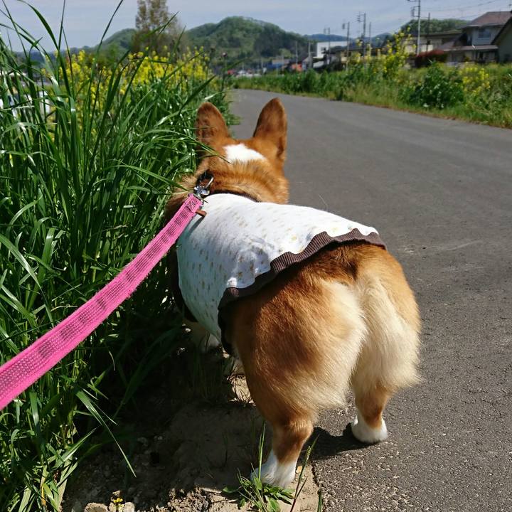 3444d9d7 1b02 4d9a a64c 9e7862fe52d3