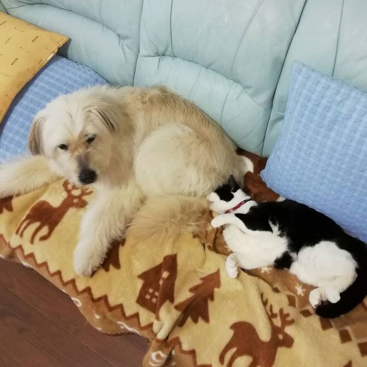 3445abb5 1975 48dd acb6 29e16b0a2eae