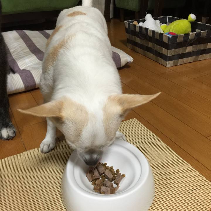 34467a0c 4328 4c87 bb35 e23fd0a311f6