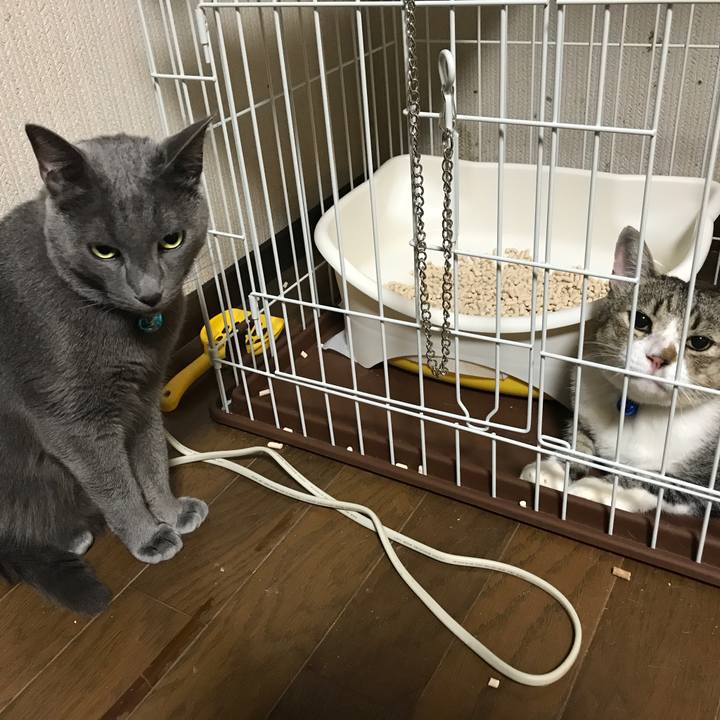 344747ca 5f51 4cf4 9d65 95d323477f90