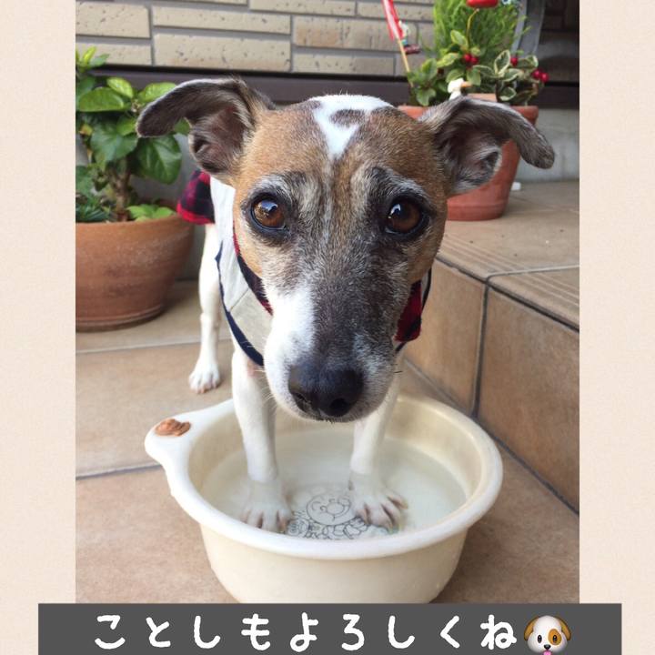 34479e67 cc4f 4eb7 925f c2855781540e