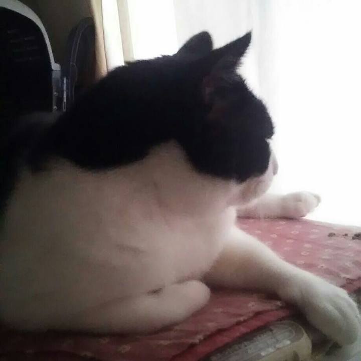 3447db23 370b 4396 960c fc2796058bf1