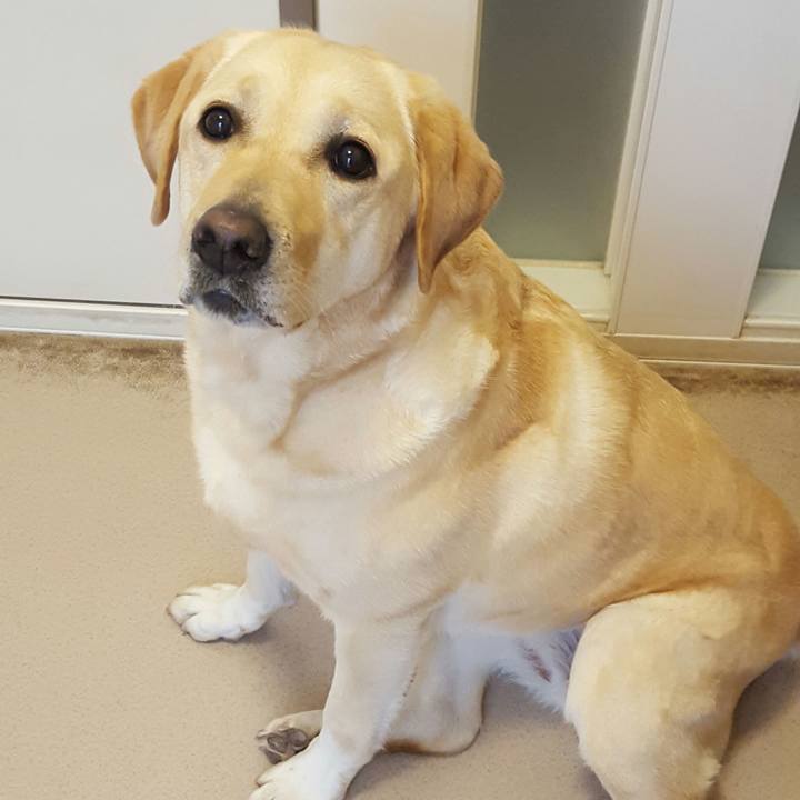 34482403 fa6a 4bb5 a257 8ae01b0e61d0