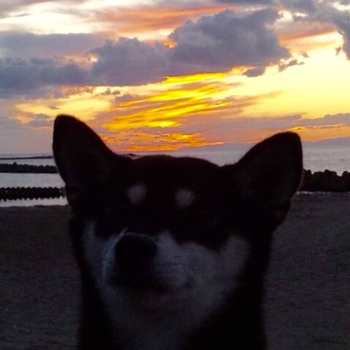 344827e7 8c5f 411a 9383 5251fc1ecae3