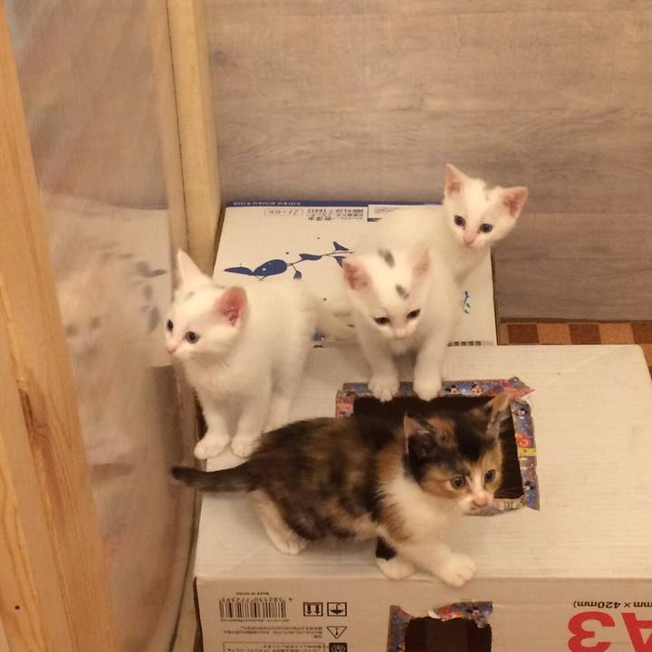 344935ce 3804 495e afc5 4f672deabaff