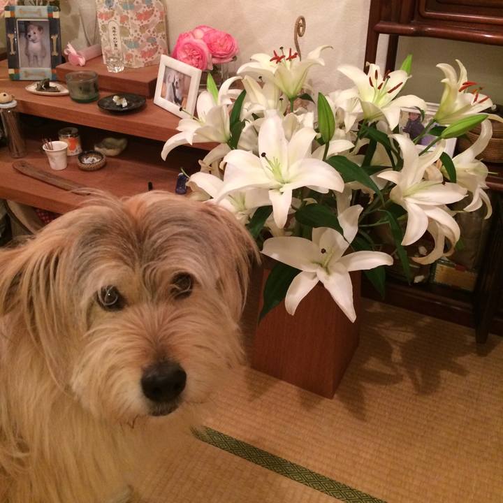 344a3812 a2cf 4ec4 a36d f4b560ba7c9b