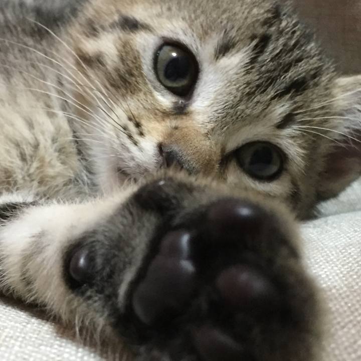 344a99bd 5083 4f8f 9698 35cab3dc056c