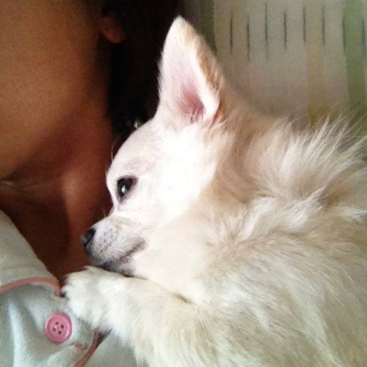 344ac67b e384 4416 b5b1 1a5de5f4315c