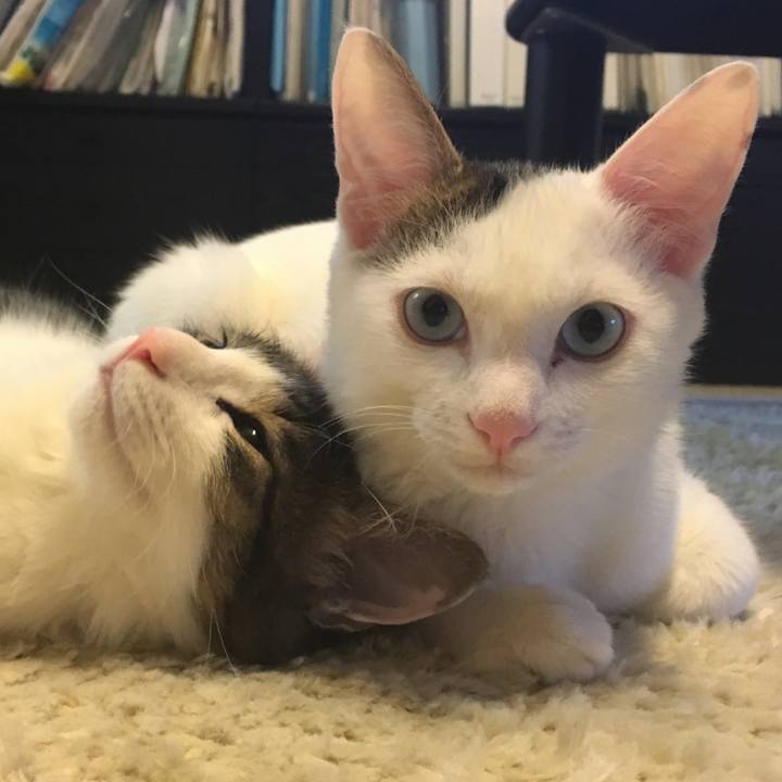 344b0c6c 7ca2 4860 9d56 de696c4577a6