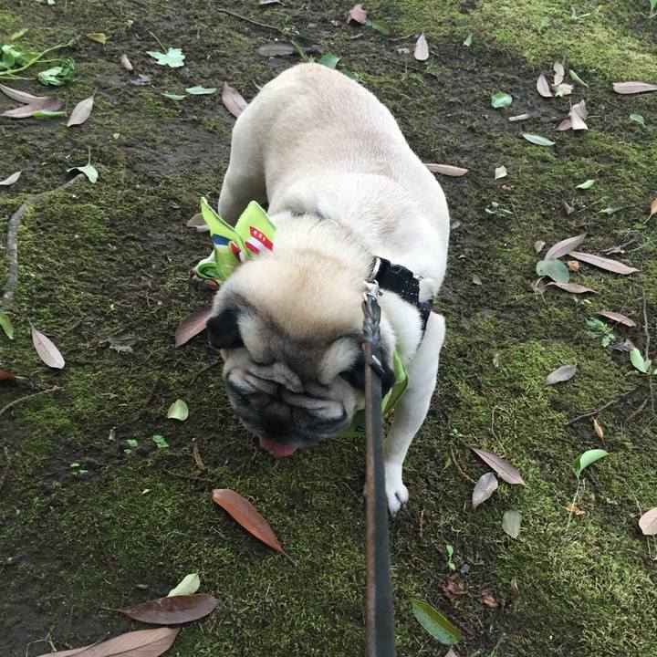 344bbc28 905f 4c82 b7d3 3658407e6fa1