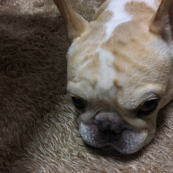 344c36e0 a1d1 4dc3 946e 88edd51f1056