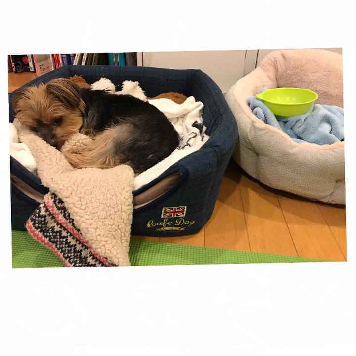 344dbbd7 6439 4444 a61f 3da574802996