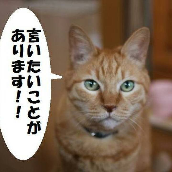 344e671d 64ab 4e86 8b7e 6387bf777a65