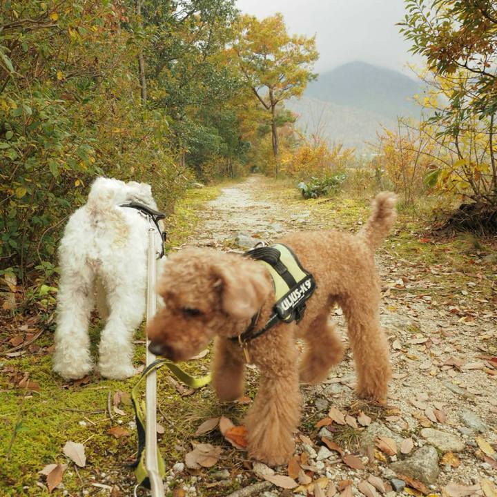 344eaea5 2a9d 4d78 8f61 ea7b45003fde