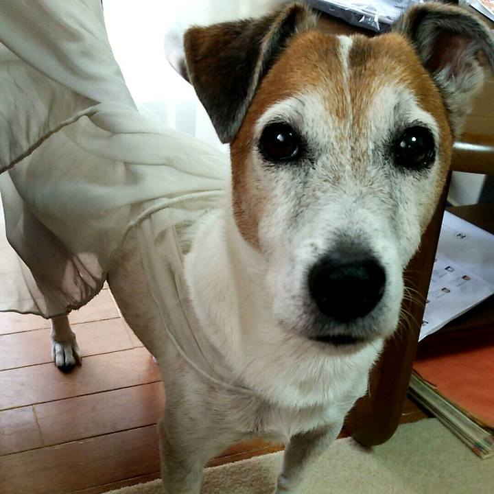 344edc63 ad98 4ffe 9c71 29f3281125f7