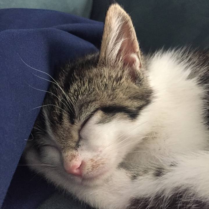 344f5d3b de56 47c5 87f0 2258249f9949