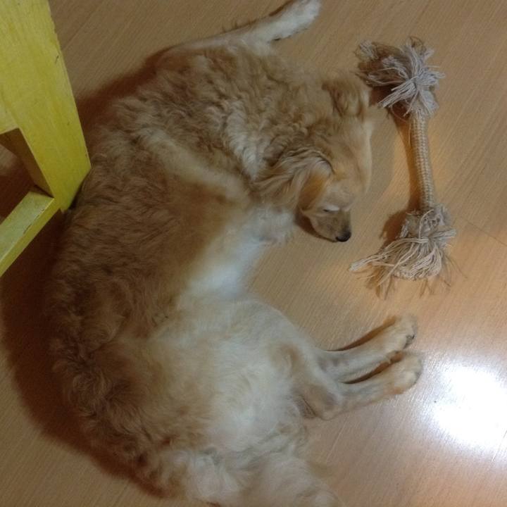 344ff3d3 447e 4e34 9689 b301c5a991c5