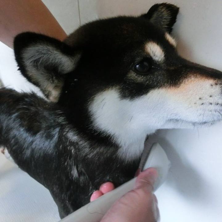 34505ab9 c0a6 4660 90da 2933d74b6a60