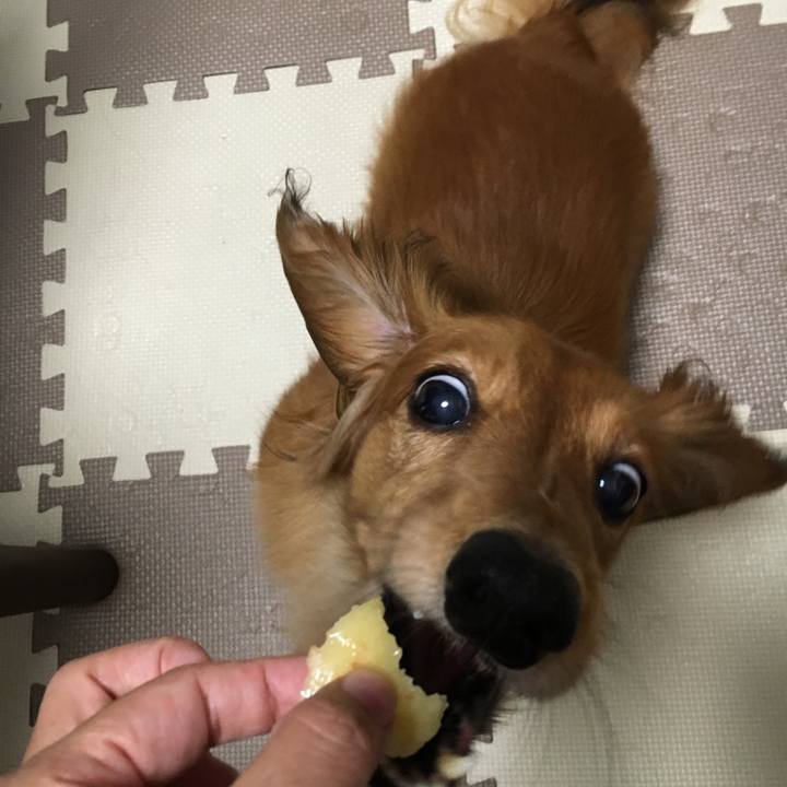 3450b81e 1f37 4eea 935e 87dde842b929