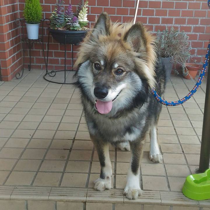 3450d980 a41c 464d b559 5fbc59406e64