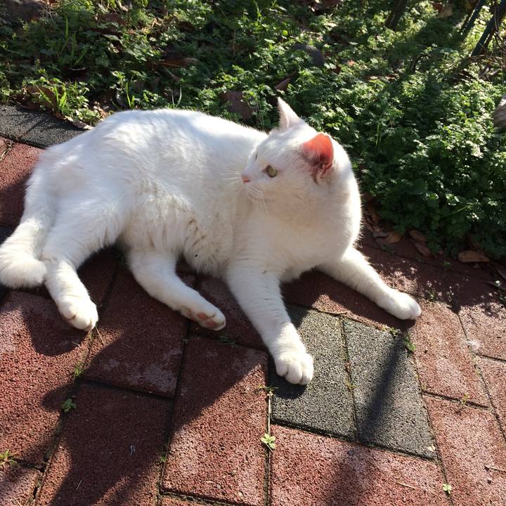 3450fb8f 1538 4e42 a6d1 2c3971114043