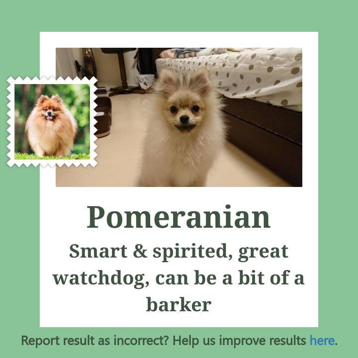 34510df9 ca0b 4f67 9c31 bd9eb2230746